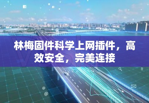 林梅固件科学上网插件，高效安全，完美连接