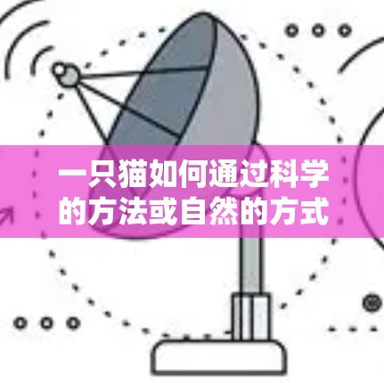 一只猫如何通过科学的方法或自然的方式获取信息并连接互联网呢？以下是一些可能的途径和方法