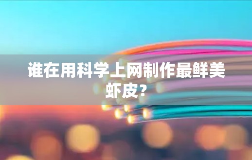 谁在用科学上网制作最鲜美虾皮？