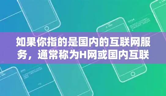 如果你指的是国内的互联网服务，通常称为H网或国内互联网，以下是一些关键信息和特点