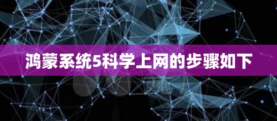 鸿蒙系统5科学上网的步骤如下