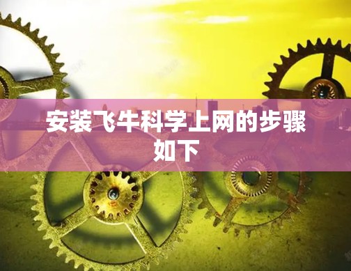 安装飞牛科学上网的步骤如下
