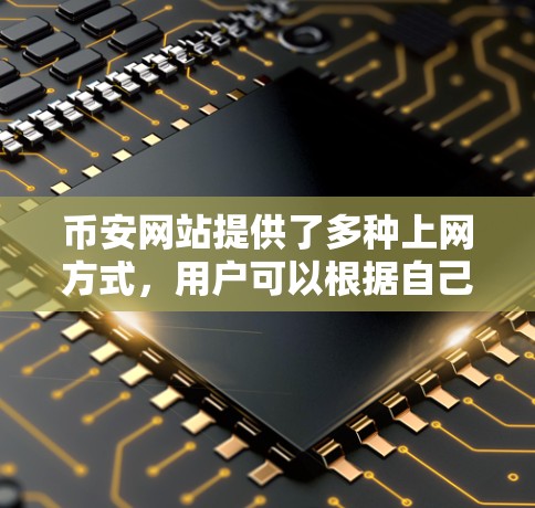 币安网站提供了多种上网方式，用户可以根据自己的需求和能力选择适合的方式进行操作。以下是详细的步骤和注意事项