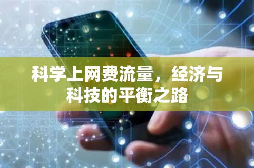 科学上网费流量，经济与科技的平衡之路
