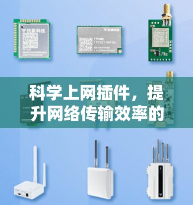 科学上网插件，提升网络传输效率的互联网解决方案