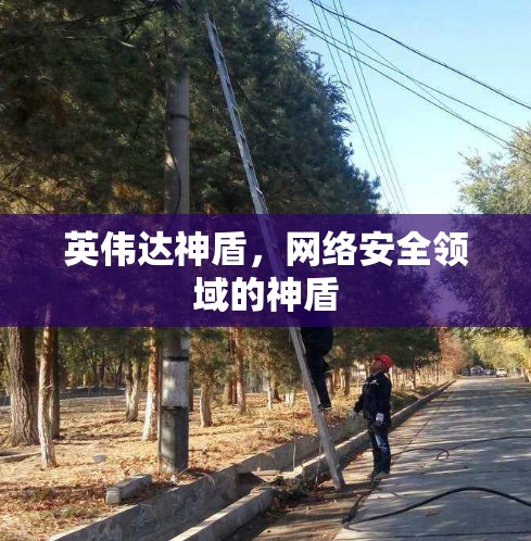 英伟达神盾，网络安全领域的神盾