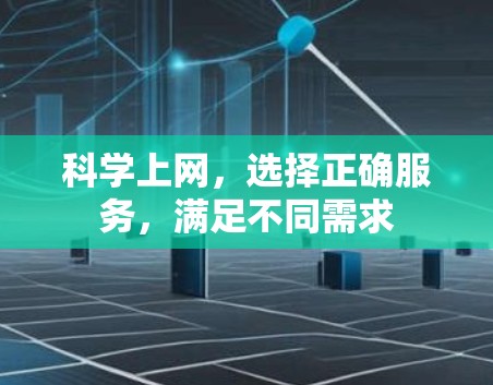 科学上网，选择正确服务，满足不同需求