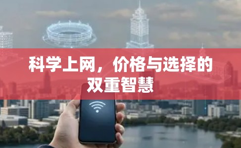 科学上网，价格与选择的双重智慧