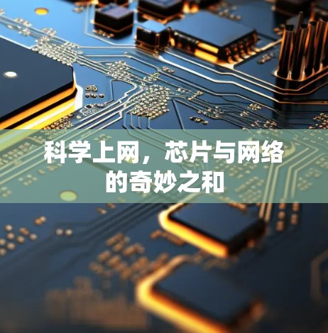 科学上网，芯片与网络的奇妙之和