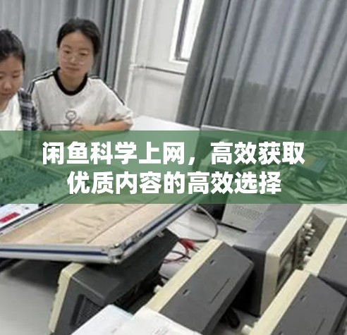 闲鱼科学上网，高效获取优质内容的高效选择