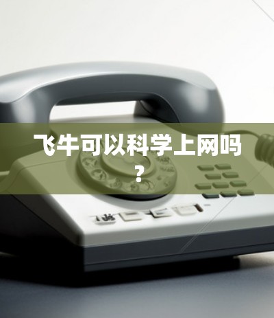 飞牛可以科学上网吗？