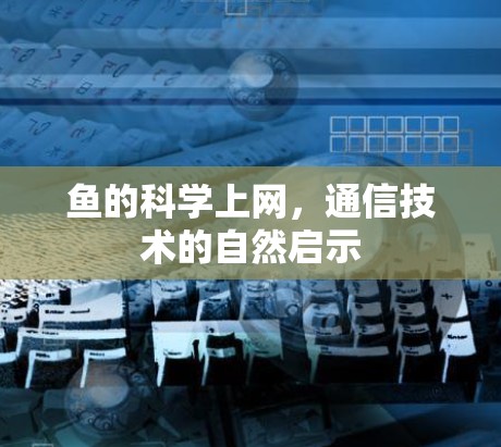 鱼的科学上网，通信技术的自然启示