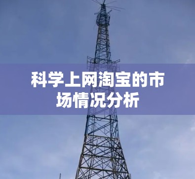 科学上网淘宝的市场情况分析