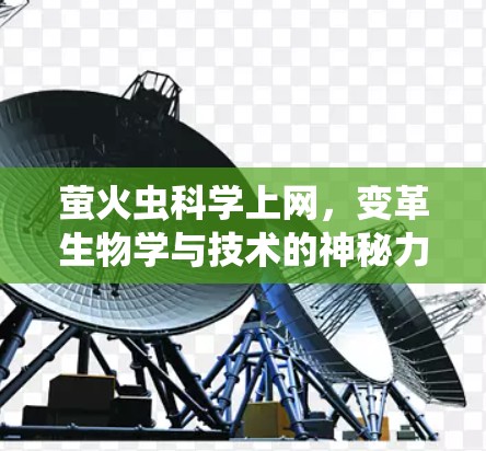 萤火虫科学上网，变革生物学与技术的神秘力量