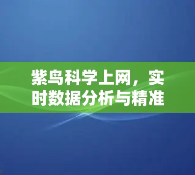 紫鸟科学上网，实时数据分析与精准管理