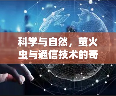 科学与自然，萤火虫与通信技术的奇妙相遇