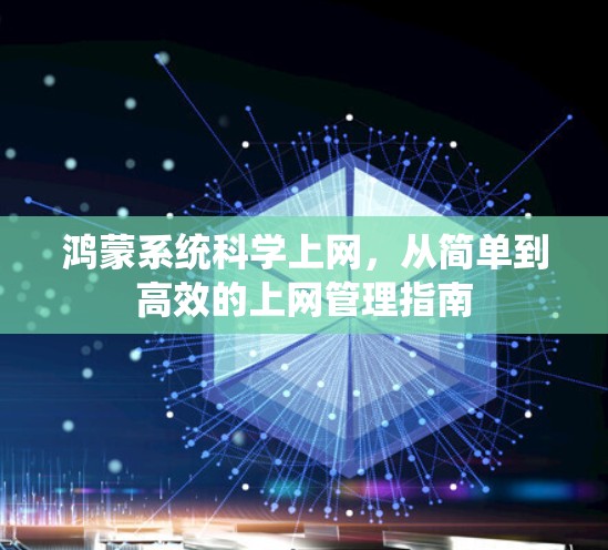 鸿蒙系统科学上网，从简单到高效的上网管理指南