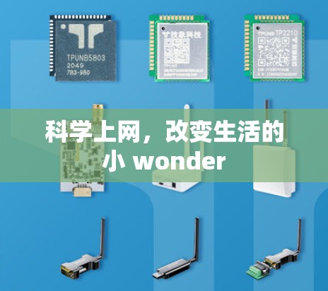 科学上网，改变生活的小 wonder