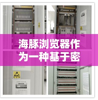 海豚浏览器作为一种基于密码学的工具，用于科学上网，主要通过加密技术来保护用户的数据安全。以下是关于海豚浏览器科学上网的详细分析