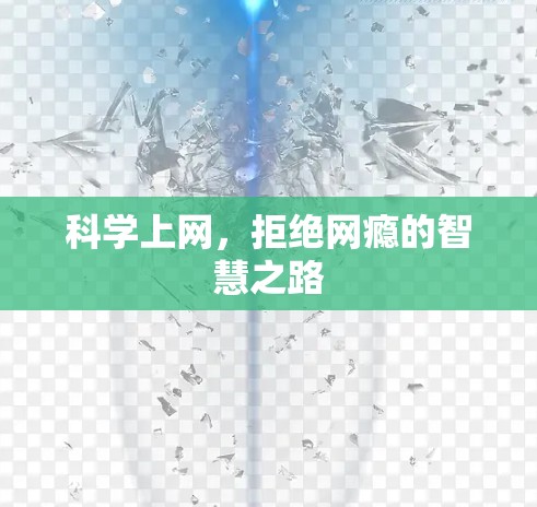 科学上网，拒绝网瘾的智慧之路