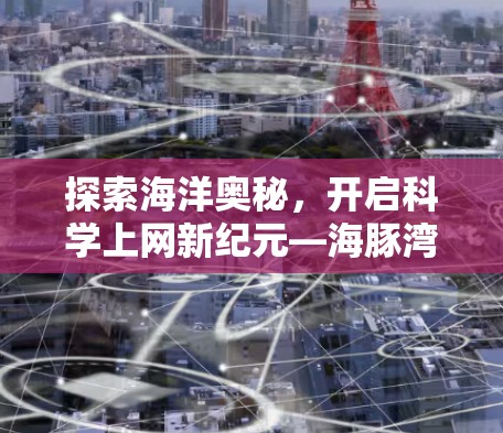 探索海洋奥秘，开启科学上网新纪元—海豚湾科学上网机场的璀璨未来