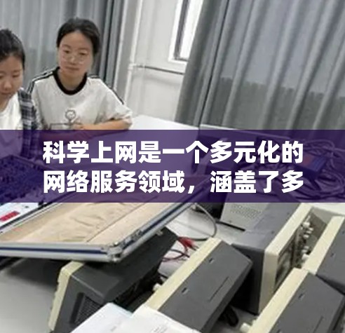 科学上网是一个多元化的网络服务领域，涵盖了多种用途和功能。以下是对科学上网的详细分析和总结