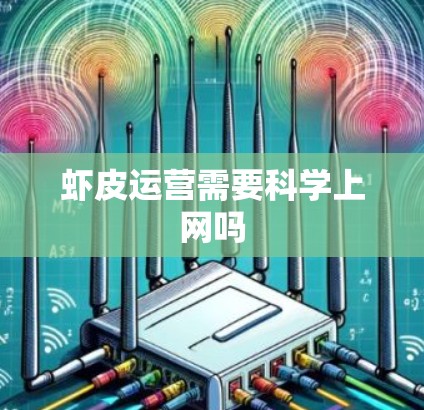 虾皮运营需要科学上网吗