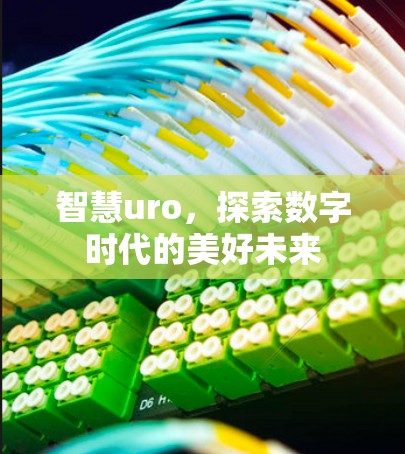 智慧uro，探索数字时代的美好未来
