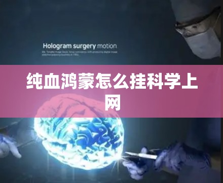 纯血鸿蒙怎么挂科学上网