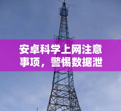 安卓科学上网注意事项，警惕数据泄露风险