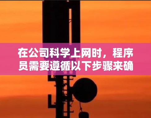 在公司科学上网时，程序员需要遵循以下步骤来确保安全和合规