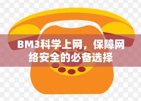 BM3科学上网，保障网络安全的必备选择