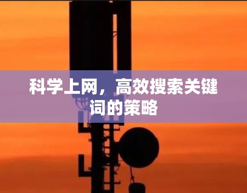科学上网，高效搜索关键词的策略