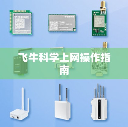飞牛科学上网操作指南