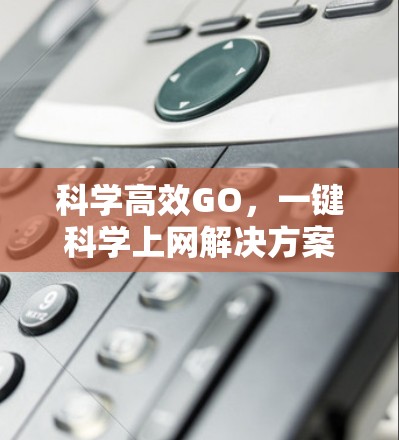 科学高效GO，一键科学上网解决方案