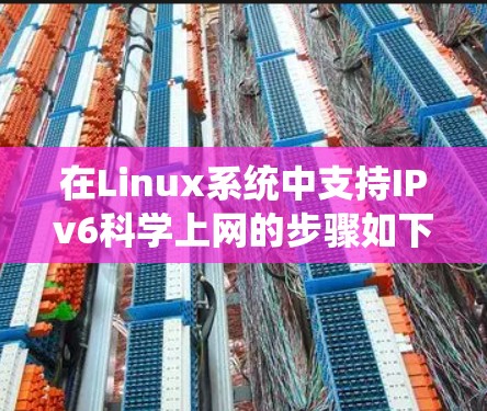 在Linux系统中支持IPv6科学上网的步骤如下