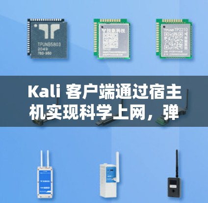 Kali 客户端通过宿主机实现科学上网，弹性负载管理与自适应ARB优化