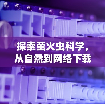 探索萤火虫科学，从自然到网络下载