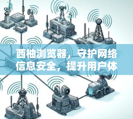 西柚浏览器，守护网络信息安全，提升用户体验
