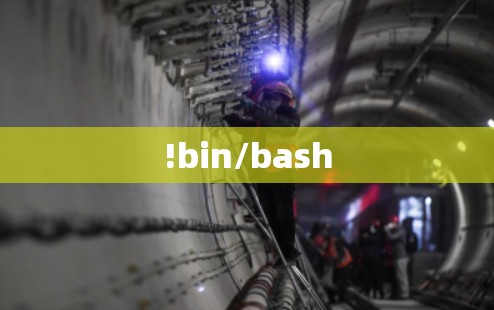 !bin/bash