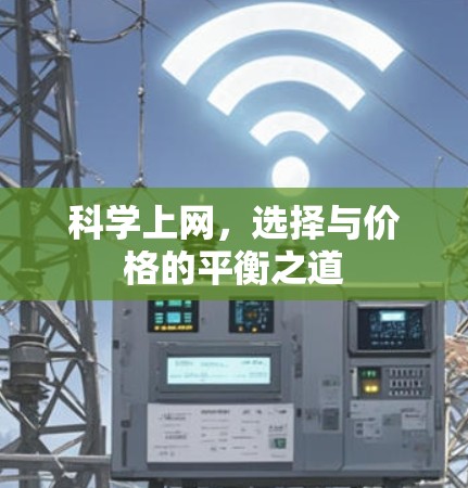 科学上网，选择与价格的平衡之道