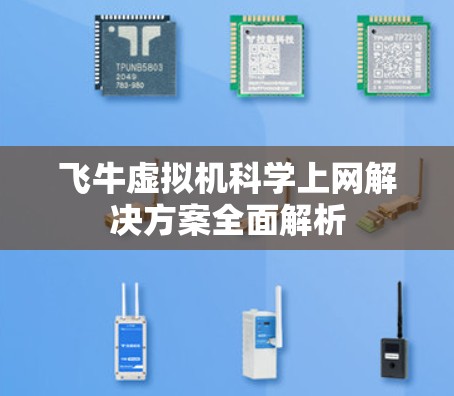 飞牛虚拟机科学上网解决方案全面解析
