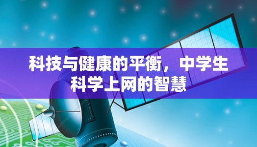 科技与健康的平衡，中学生科学上网的智慧