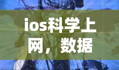 ios科学上网，数据安全与隐私保护的未来探索