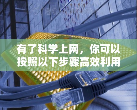有了科学上网，你可以按照以下步骤高效利用