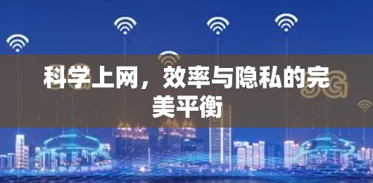 科学上网，效率与隐私的完美平衡