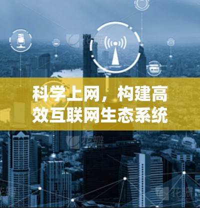 科学上网，构建高效互联网生态系统