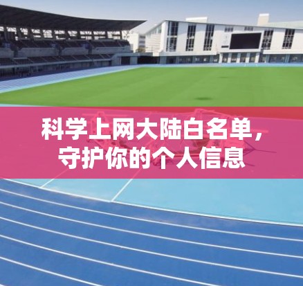 科学上网大陆白名单，守护你的个人信息
