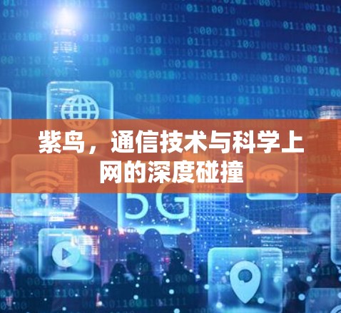 紫鸟，通信技术与科学上网的深度碰撞
