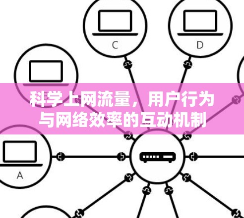 科学上网流量，用户行为与网络效率的互动机制